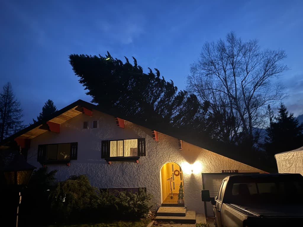 Large evergreen tree fallen onto a two-story home roof at dusk, warm exterior lighting