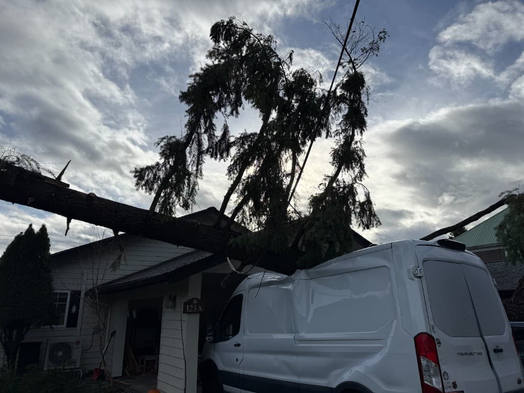 Fallen tree trunk across a house roof and a crushed white work van in a driveway