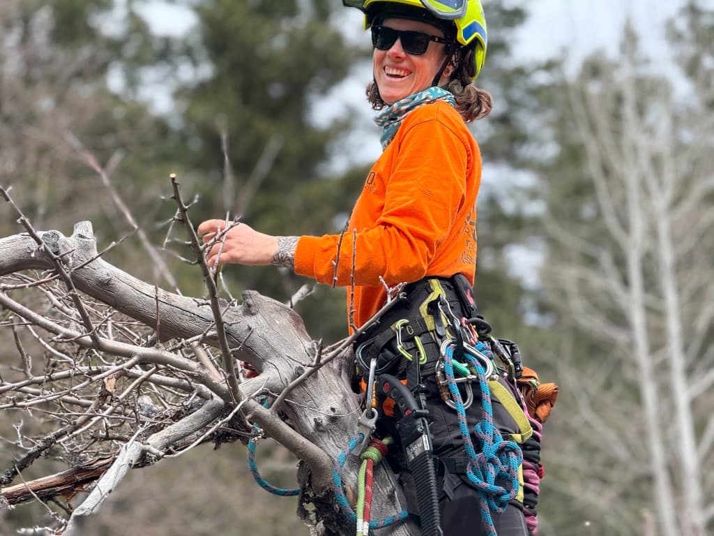 Tree Pruning & Trimming - Clifton Tree Service Leavenworth WA