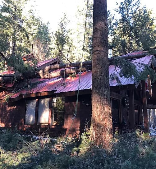 Emergency & Hazard Tree Removal - Clifton Tree Service Leavenworth WA