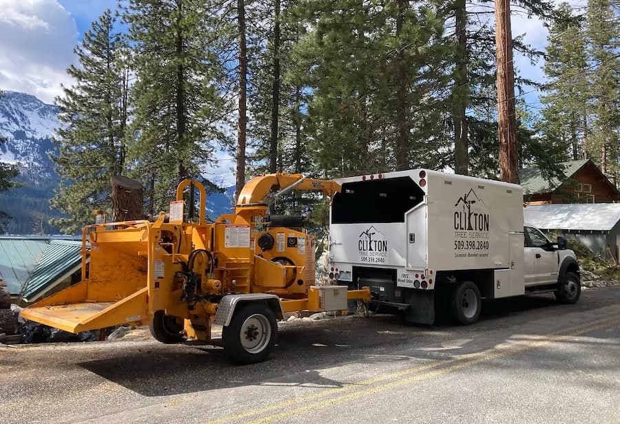 Clifton Tree Service work truck in Leavenworth WA